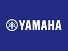 YAMAHA BRAKE GUARDS