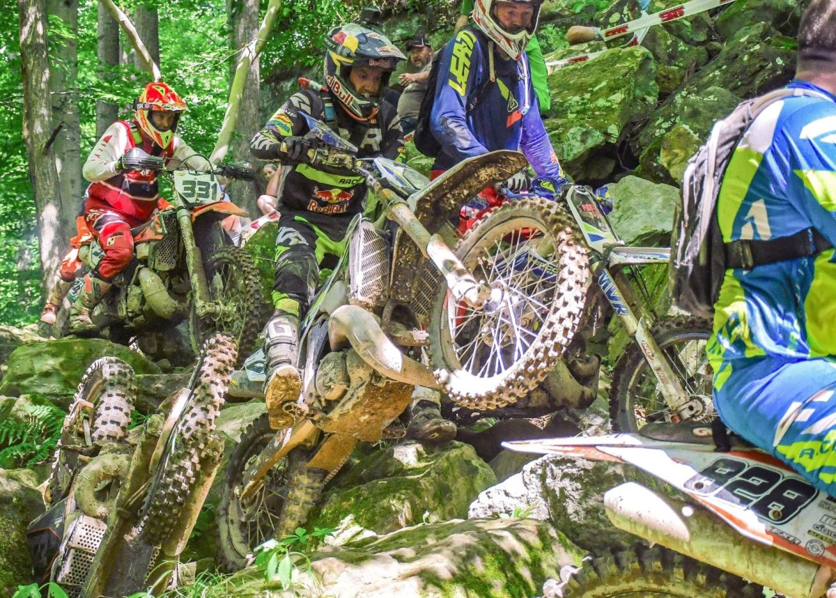 Cody Webb is #P3protected